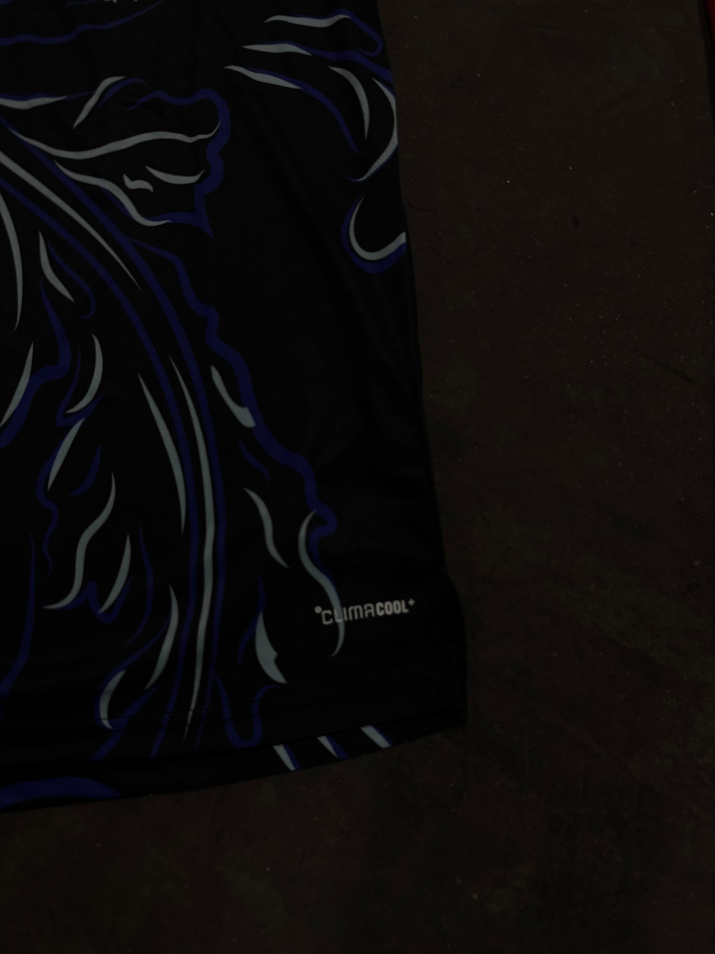 Argentina World Cup 2026 Away Jersey